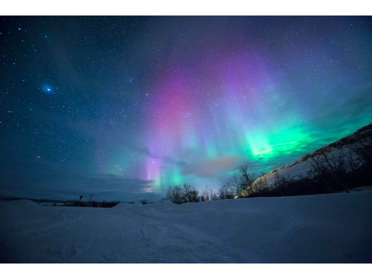 Northen Lights Chase Small  Group Tour With Hot Drink  & Photo Session