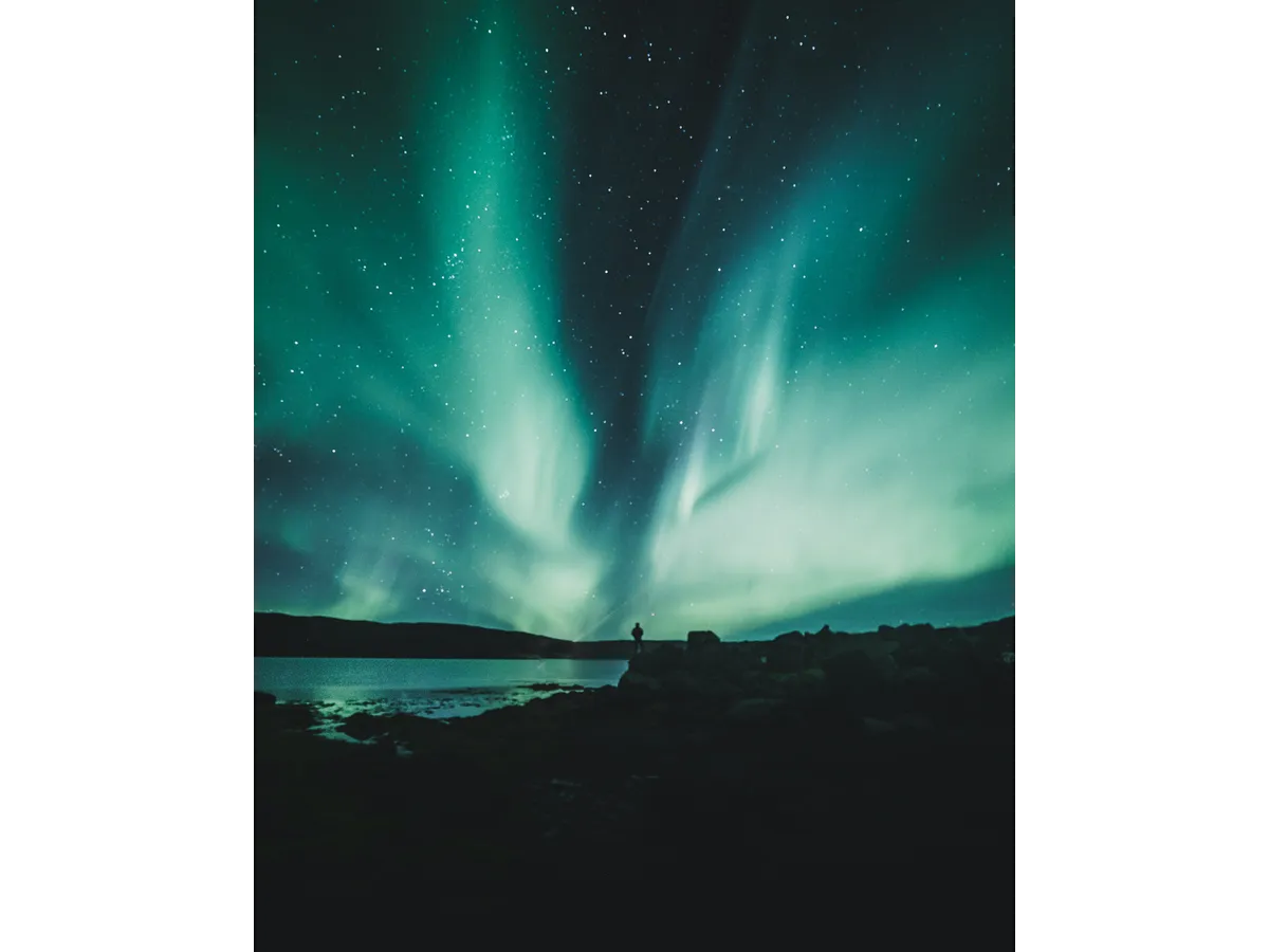 Northen Lights Chase Small  Group Tour With Hot Drink  & Photo Session