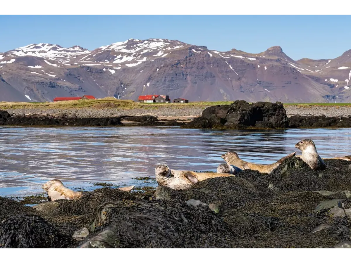 Snæfellsnes Peninsula