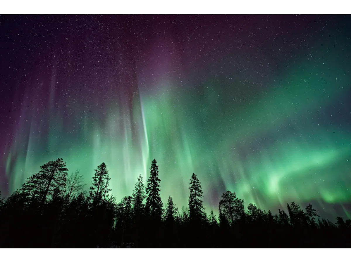 Northen Lights Chase Small  Group Tour With Hot Drink  & Photo Session